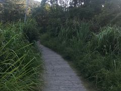 -小皓村