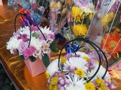 -曲阳花鸟市场(曲阳路店)