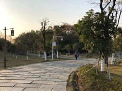 -瑶湖郊野森林公园