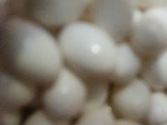 -比格比萨自助(花园路店)