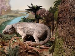 -湖南省地质博物馆