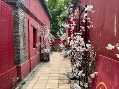-潭柘寺景区