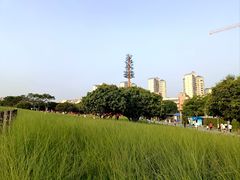 -红花山公园