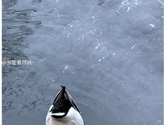 -水磨沟公园