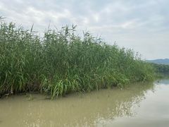 -长兴太湖图影湿地文化园