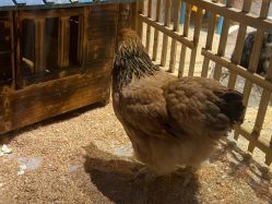 -酷嗒动物文化乐园(cutezoo西溪乐天城店)