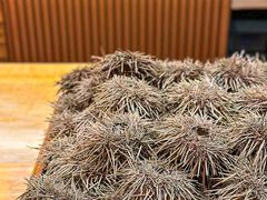 -鮨乐亭Omakase·海胆宴