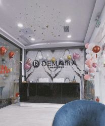 -DEM缔怡美科技美容