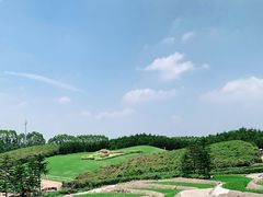 -迪茵湖田家舍生态农场