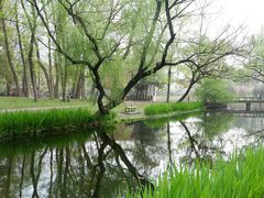 -上海共青森林公园