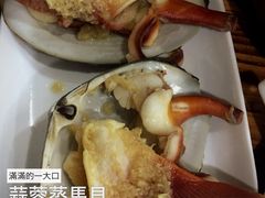 -蚝专家(北滘店)