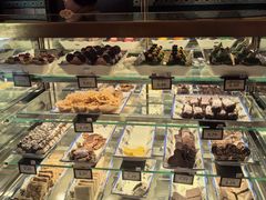 -奥兰多迪士尼动物王国乐园