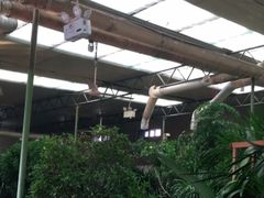 -天发长铁锅炖(王秀村店)