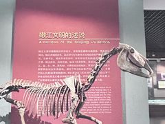 -齐齐哈尔市博物馆