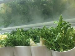-吉布鲁牛排海鲜自助(温江合生汇店)