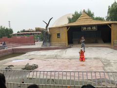 -白洋淀景区