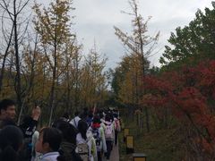 -白鹿原影视城