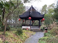 -上海醉白池公园