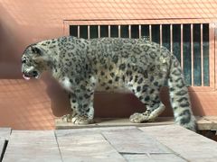 -青藏高原野生动物园