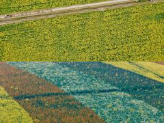 -中国天府农业博览园