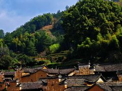 -杨家堂村
