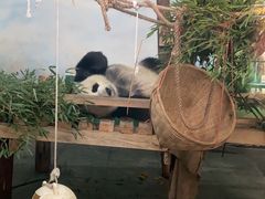 -无锡动物园·太湖欢乐园