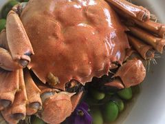 -上海外滩英迪格酒店