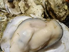 -烧蠔帮·生蚝海鲜牌档(观海店)