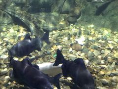 -常州海昌海洋探索馆