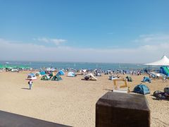 -碧海金沙