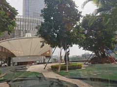 -港丽餐厅(高德置地店)