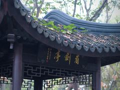 -上海佘山国家森林公园天马山园