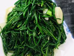 -靖远尕六美味羊羔肉
