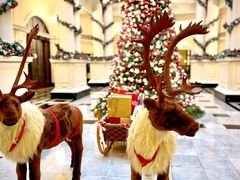 -Salon de Ville浦江汇(上海外滩华尔道夫酒店店)