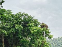 -敬亭山风景名胜区