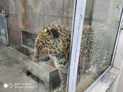 -西安秦岭野生动物园