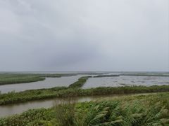 -盐城丹顶鹤湿地生态旅游区