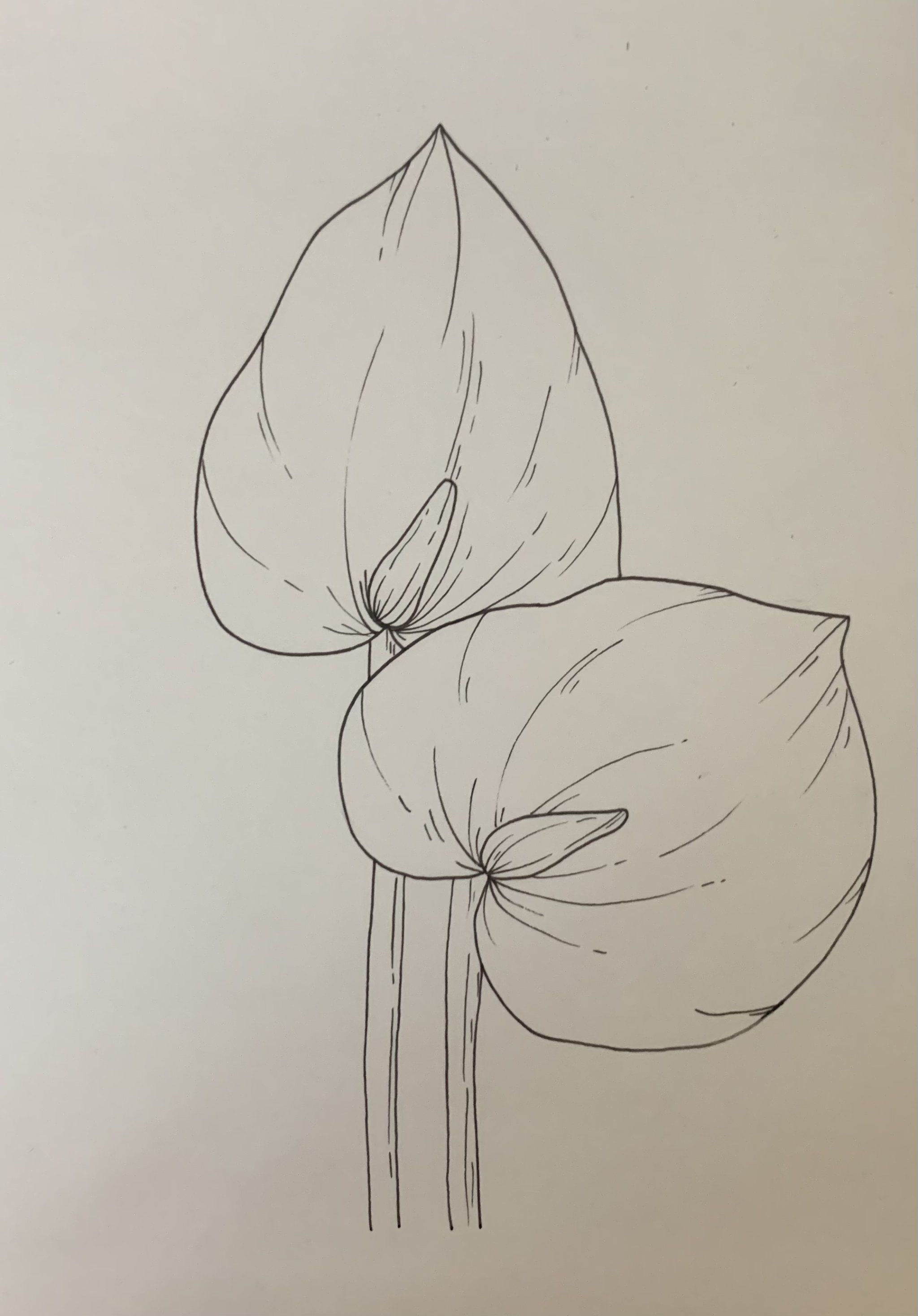 午休半小时的涂涂画画