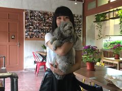 -百好乐宠物友好餐厅(朝外大街店)