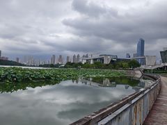 -月湖风景区