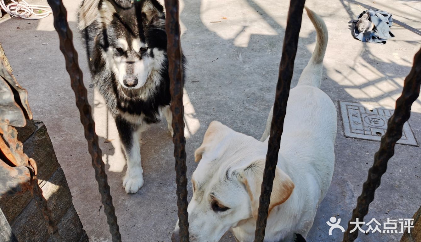 我对需要排队才能喝咖啡的体验没有兴趣