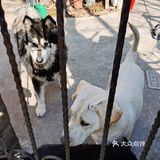 我对需要排队才能喝咖啡的体验没有兴趣