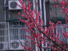 -湖南烈士公园(芙蓉区)