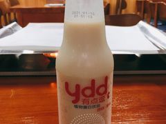 豆奶-江湖翅客(琶洲新村店)