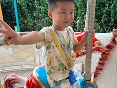 -海合安武汉极地海洋公园