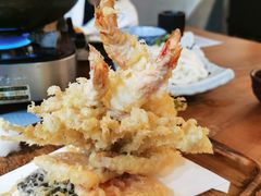 -森味薪火烧•烧鸟居酒屋•日本料理(望京店)