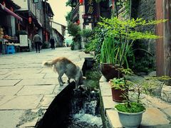 景点-安顺旧州古镇