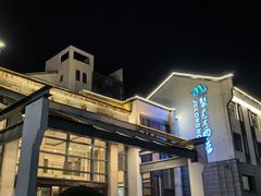 -九华山聚龙大酒店