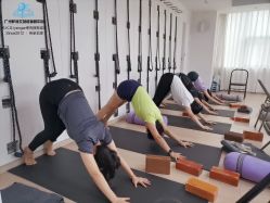 -广州萨谛艾扬格瑜伽中心