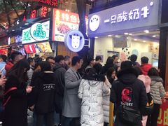 -一只酸奶牛(八一路店)
